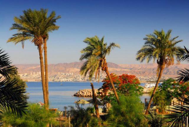 La Riva Hotel Aqaba Bagian luar foto